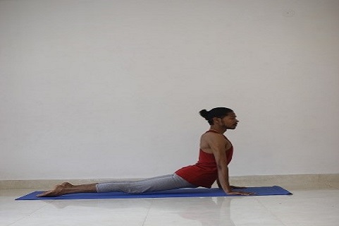 online yoga courses