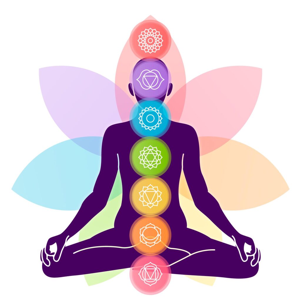 Online Yoga Course in india